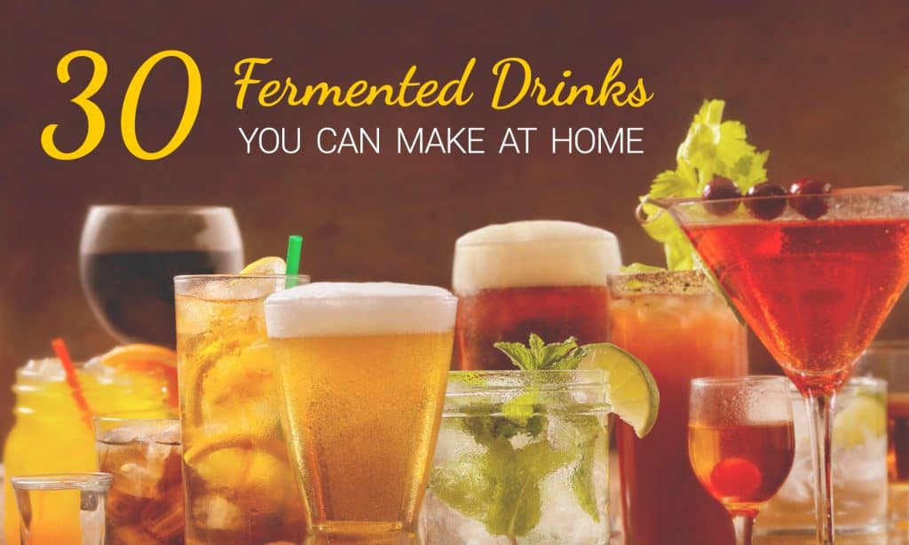 30 Fermented Drinks You Can Make at Home