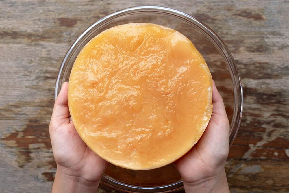 How to Grow Your Own Kombucha SCOBY