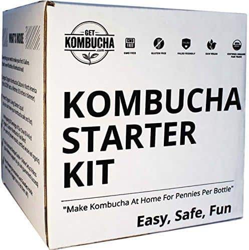 Kombucha Starter Kit
