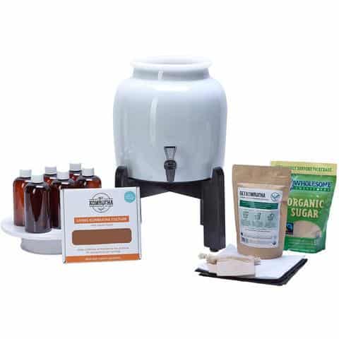 Kombucha Continuous Brew Kit System