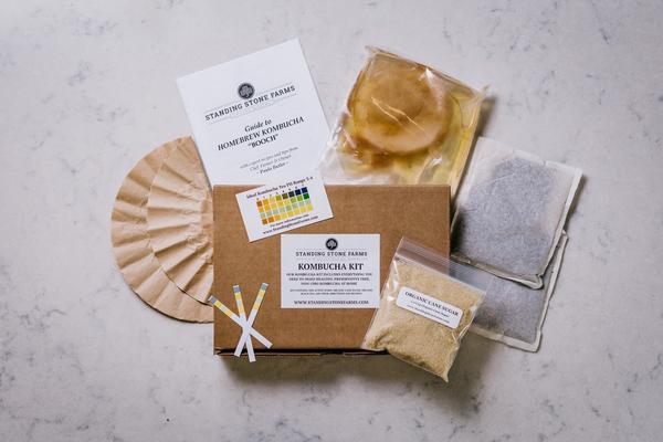 Kombucha Tea Home Brew Starter Kit