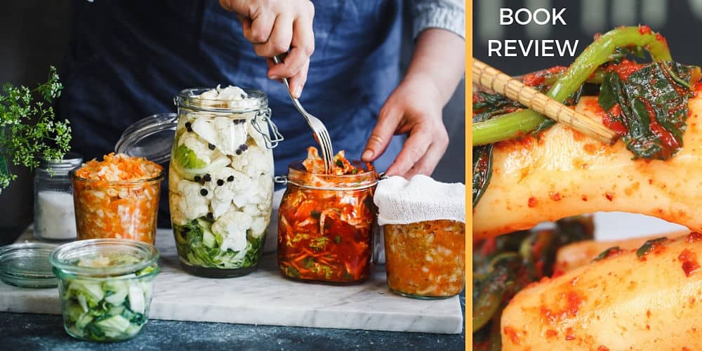 Top 5 Fermentation Books For Beginners My Fermented Foods