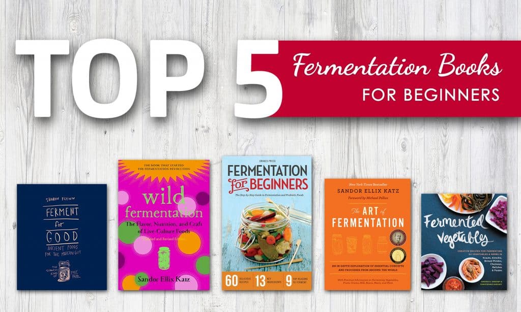 Top 5 Fermentation Books for Beginners