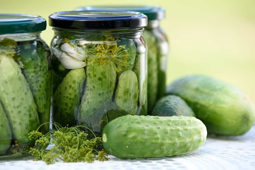 fermented cucumbers with garlic and dill in mason jars with lids