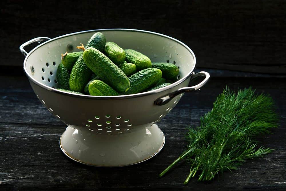 How to Make Lacto-Fermented Pickles
