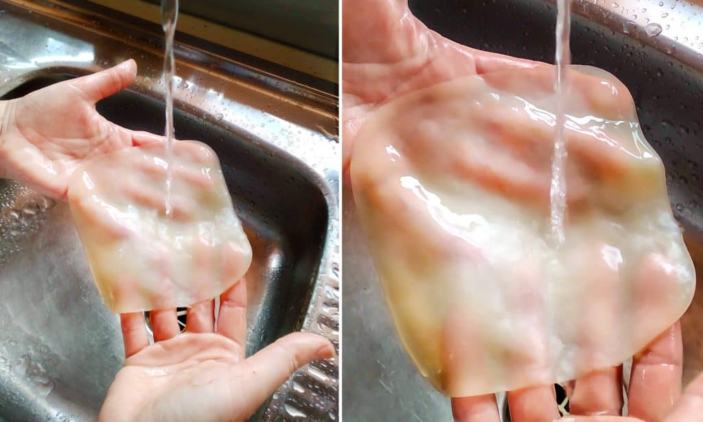 healthy scoby