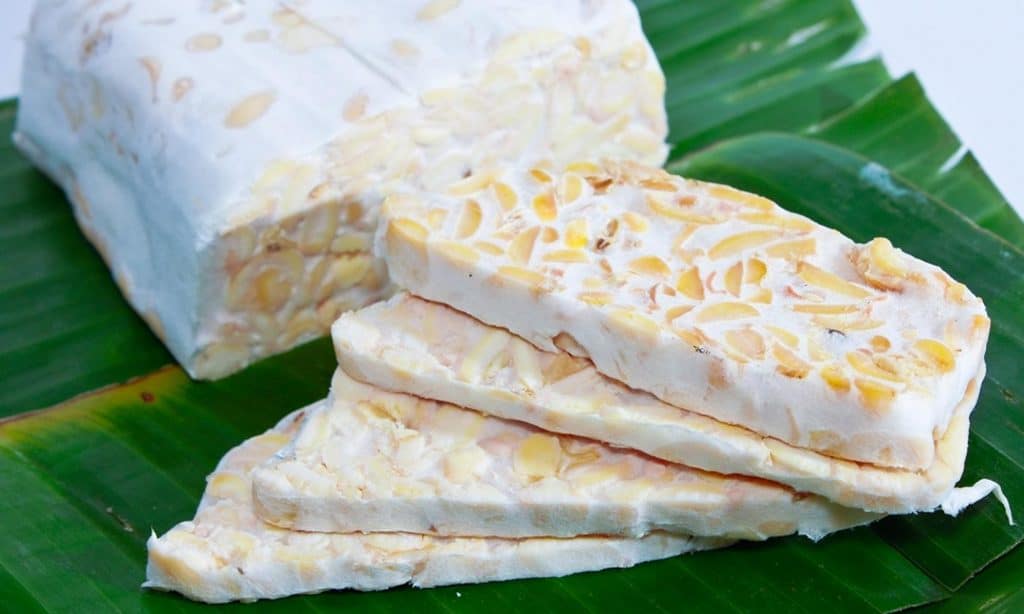 Tempeh