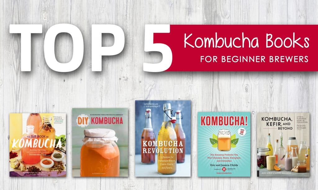 Top 5 Kombucha Books for Beginner Brewers