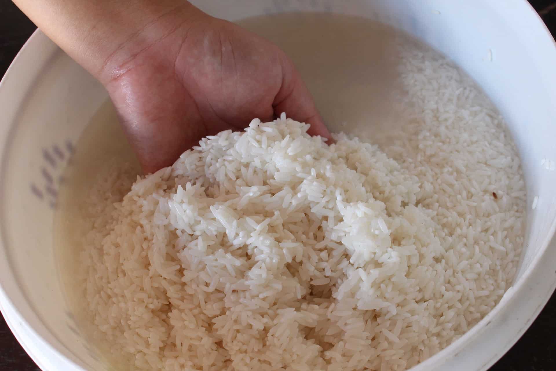 Можно ли рисовый отвар. Рисовая вода. Рис промытый рассыпчатый. Рис к воде. Вареный рассыпчатый рис.