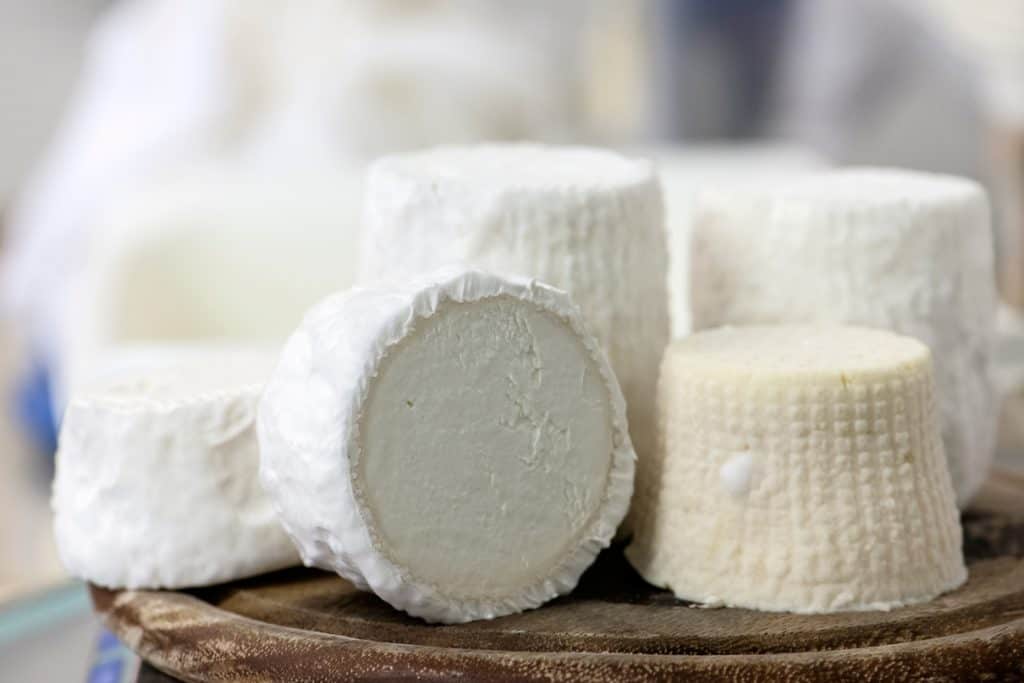 Pule Cheese: The Most Expensive Cheese in the World