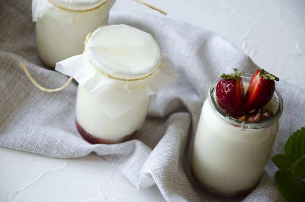 Homemade Yogurt