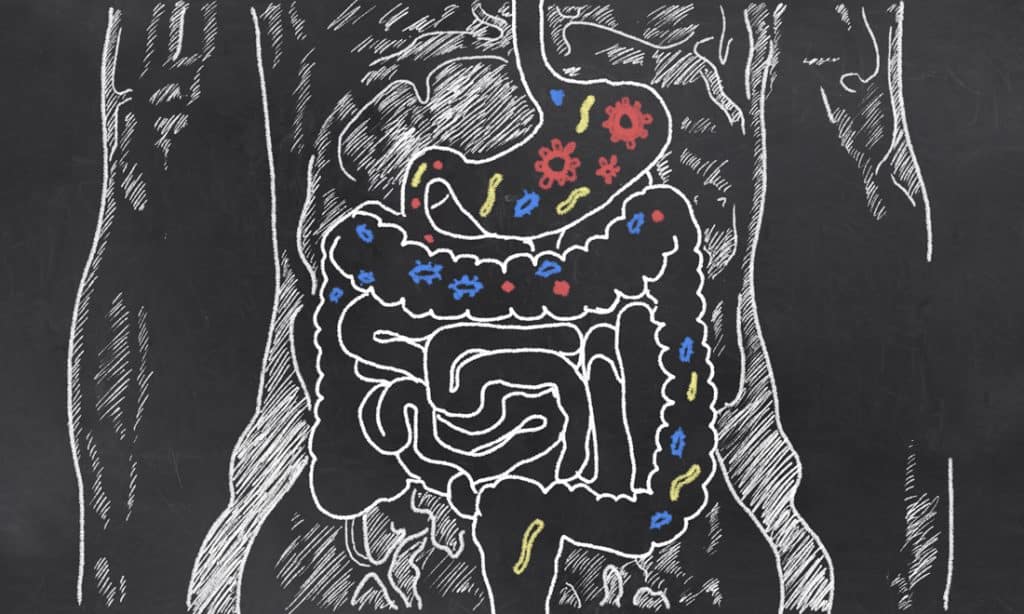 How to Do a Gut Bacteria Test on Your Own [Viome Review]