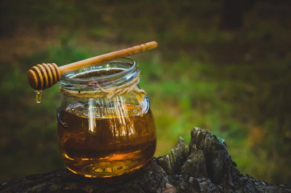 How to Make Mead [Traditional and Spiced]