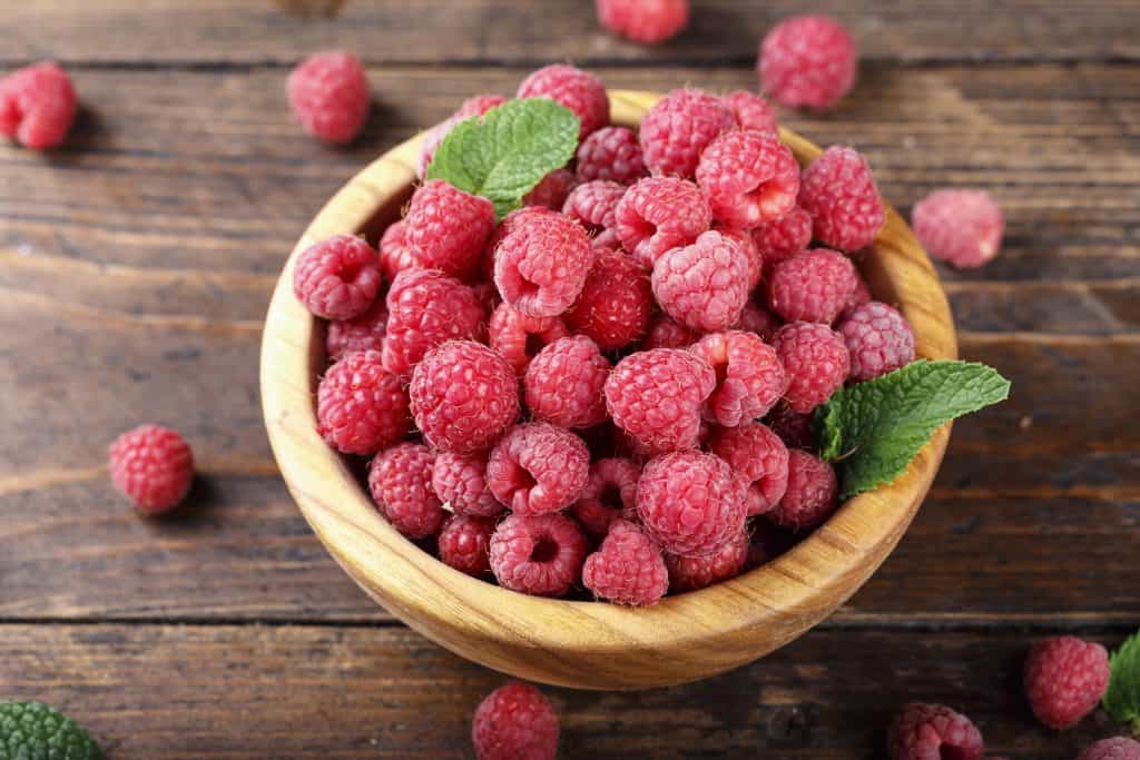 Raspberry Mead Recipe