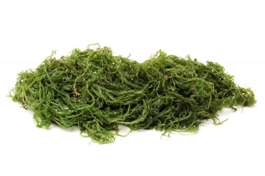 Fermented Seaweed Recipe