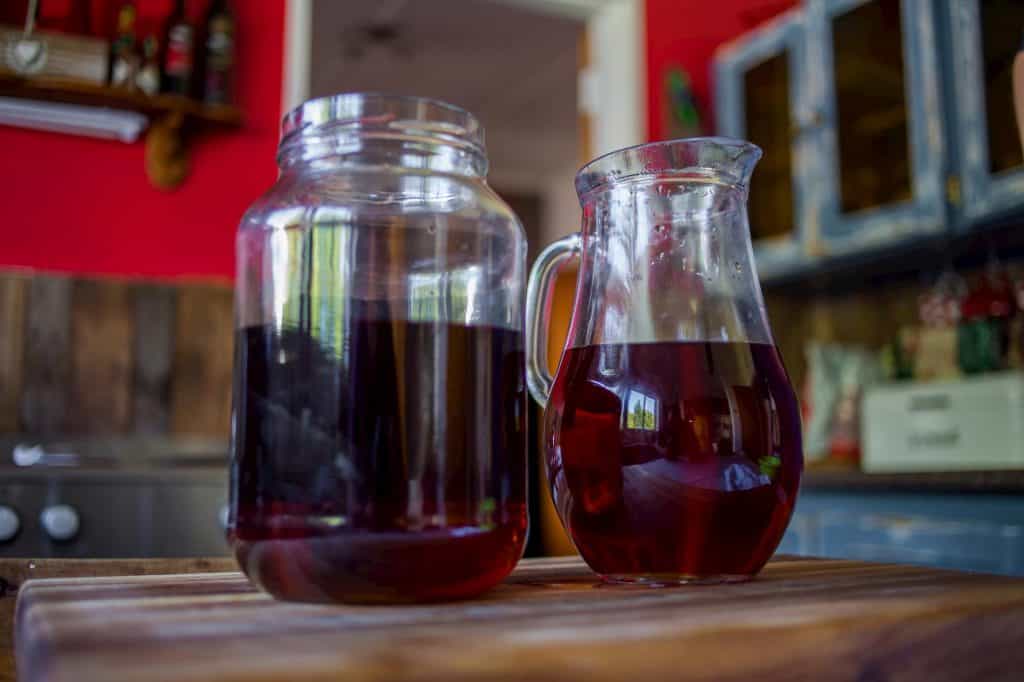 Elderberry Kombucha Recipe