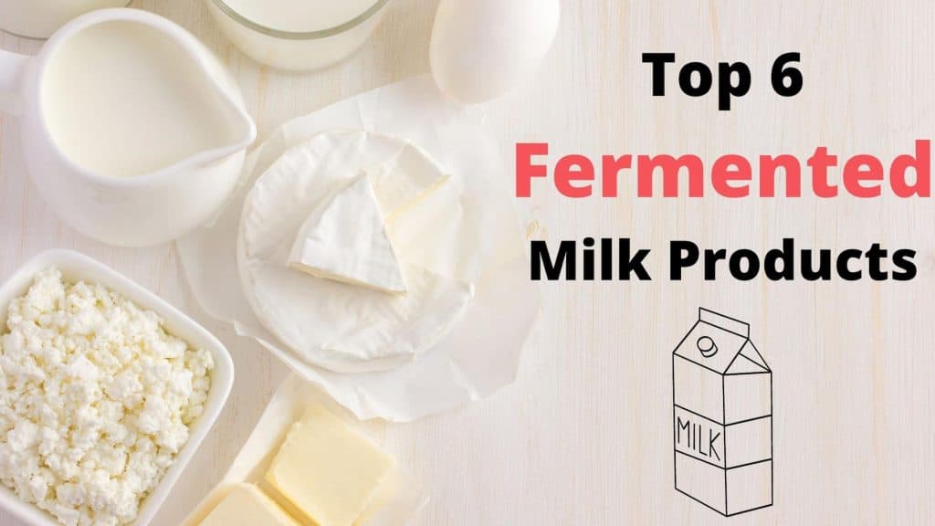 6 Fermented Milk Products